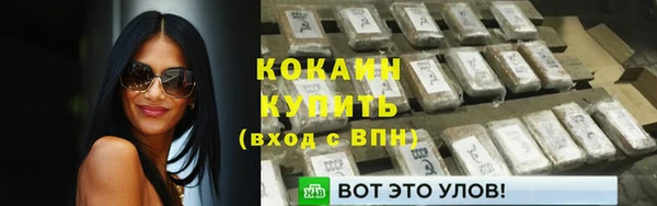 PSILOCYBIN Михайлов