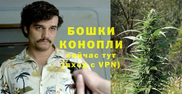 PSILOCYBIN Михайловка