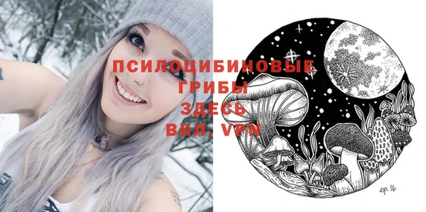 PSILOCYBIN Михайлов
